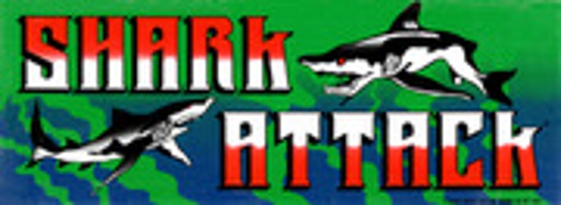 Shark Attack Image