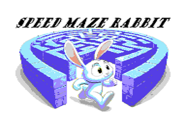 Speed Maze Rabbit screenshot