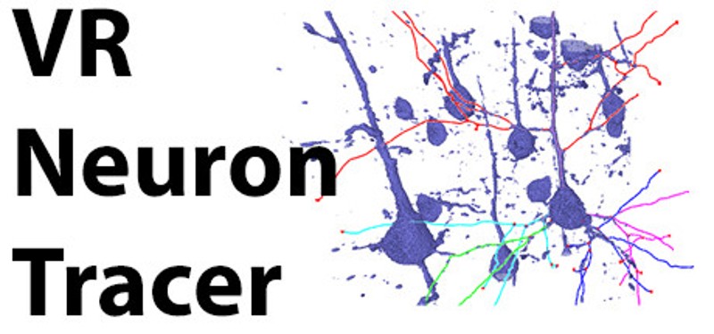 Virtual Reality Neuron Tracer Image