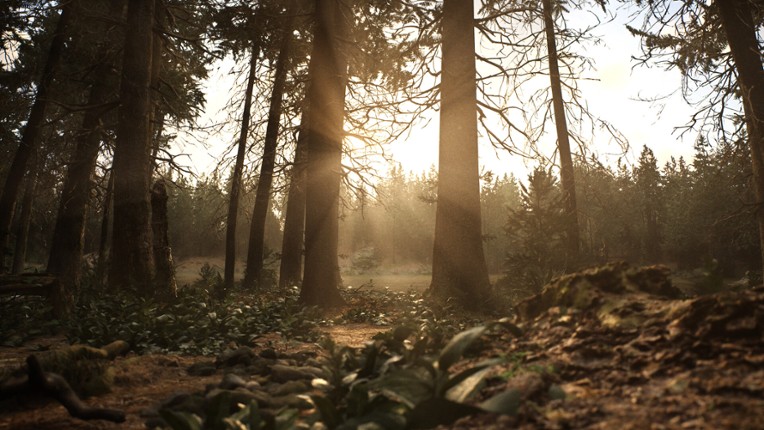 Whispers in the fog screenshot