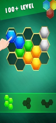 Hexa Puzzler Classic screenshot