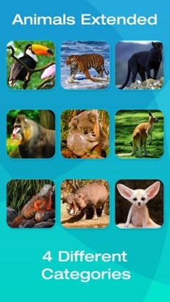Safari and Jungle Animal Picture Flashcards for Babies, Toddlers or Preschool (Free) screenshot