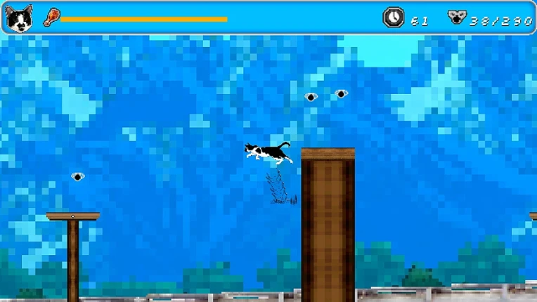 A Cat named Gossamergoober screenshot