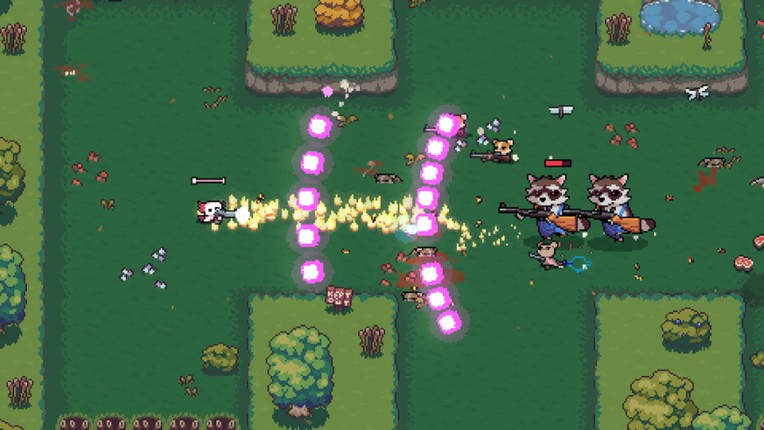 AK-xolotl screenshot