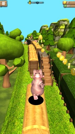 Endless Jungle Animal Run 3D Image