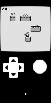 Pocket Cat Image