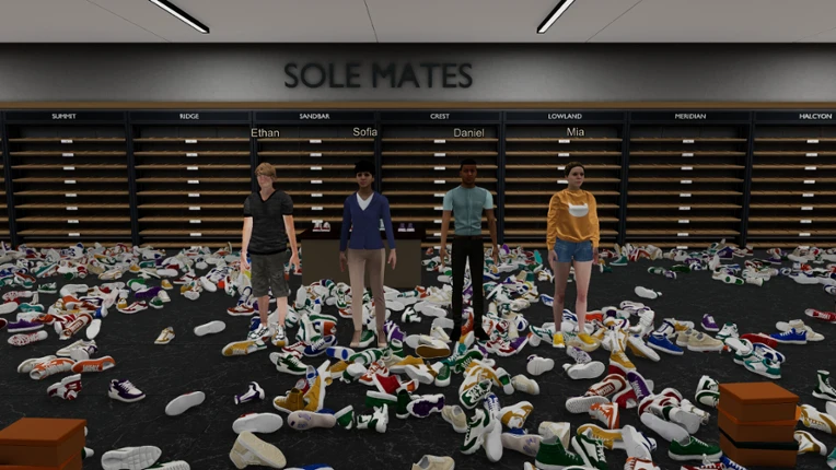 Sole Mates: Tidy Up the Shoe Store Image