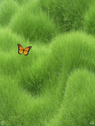 Cat's Game screenshot