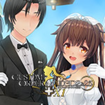 Custom Order Maid 3D2.5+X1 Image