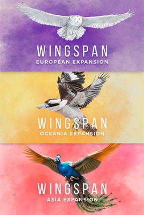 European + Oceania + Asia Image