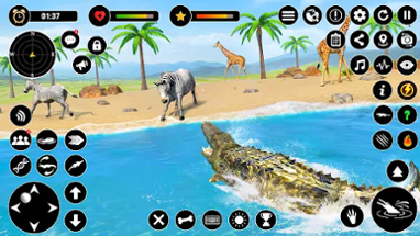 Crocodile Games - Animal Games Image