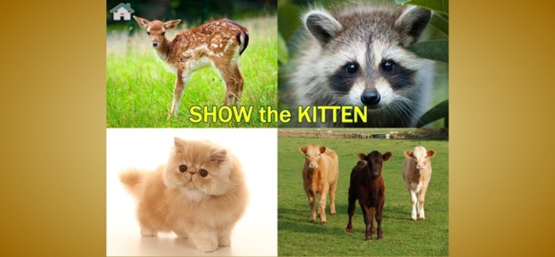 Point the picture! For babies Image