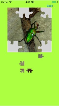 Rhinoceros Beetle Jigsaw Puzzle screenshot