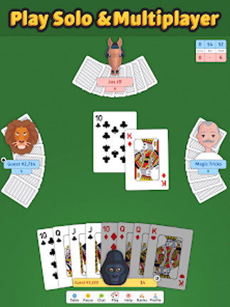 Double Deck Pinochle ‣ screenshot