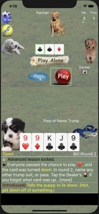 K9 Euchre Image
