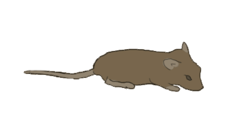 MUSOPHOBIA screenshot