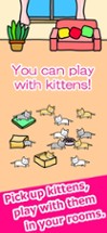 Play with Cats - relaxing game Image