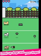 Play with Dogs - relaxing game Image