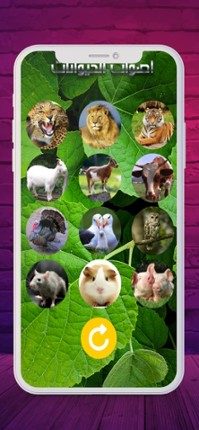 2020 اصوات الحيوانات screenshot