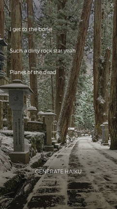 Haunted Haiku Generator Image
