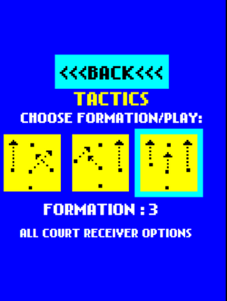 Micro Netball screenshot