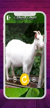 2020 اصوات الحيوانات Image