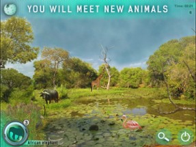 Hidden Objects Games: Animals Image