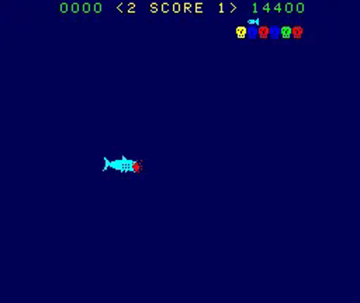 Shark Attack Image