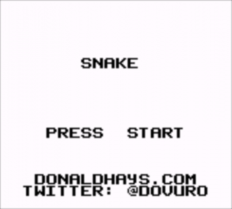 Snake Image