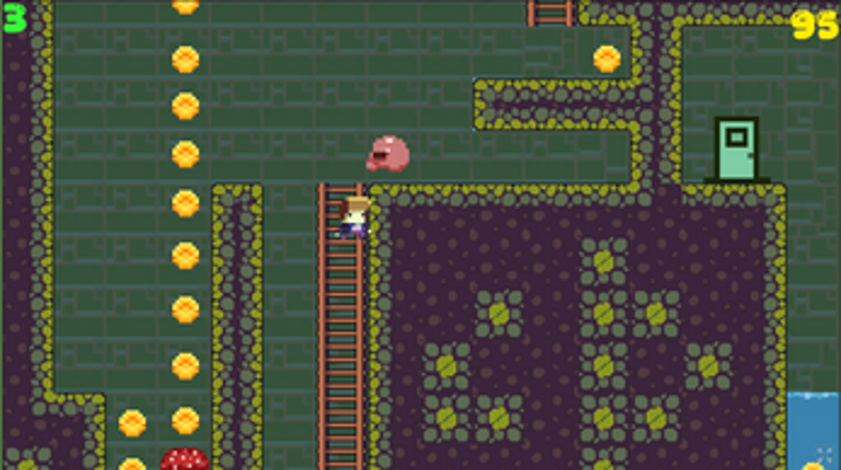 The Temple of Coins and Slimes Image