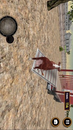 Transport Truck - Farm Animals Image
