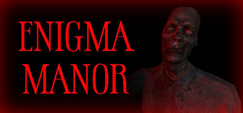 Enigma Manor Game Cover