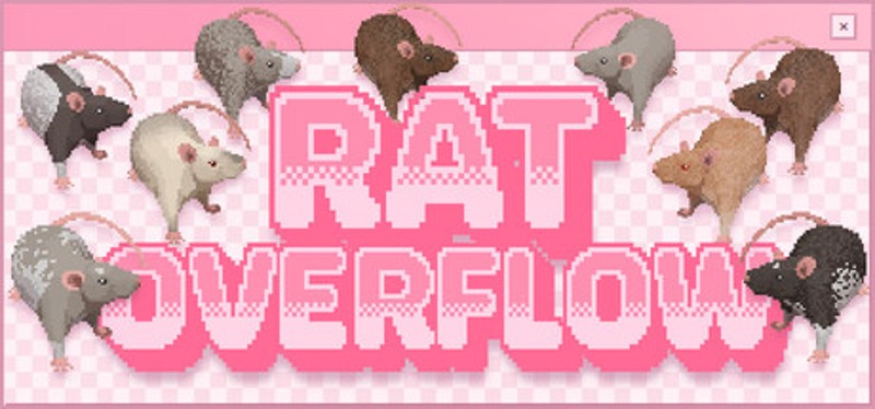 Rat Overflow Image