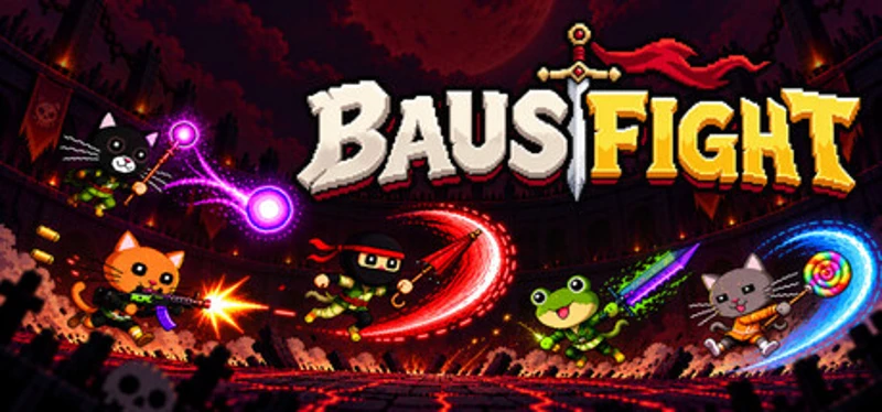 BAUSFIGHT Image