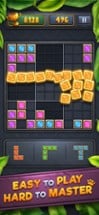 Block Puzzle 9x9 Jewels Blast Image