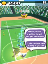 Crazy Tennis 2021 Image