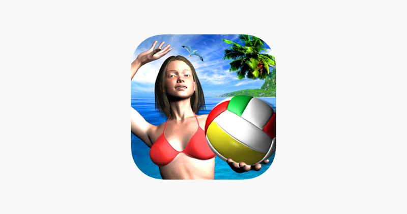 Over The Net Beach Volley Game Cover