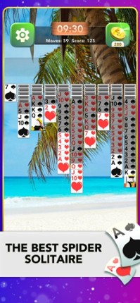 Spider Solitaire, Card Game Image