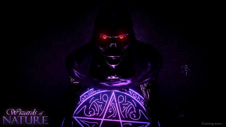 Wizards of Nature screenshot