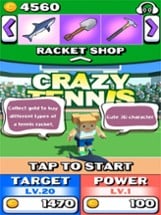 Crazy Tennis 2021 Image