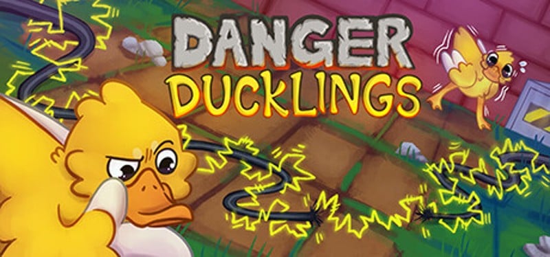 Danger Ducklings Game Cover