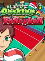 Desktop Volleyball Image