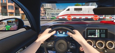 Driving School Simulator : EVO Image