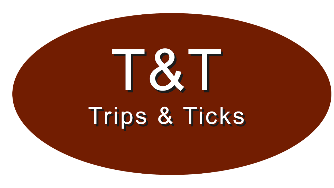 Games like T. & T. (ldjam51)