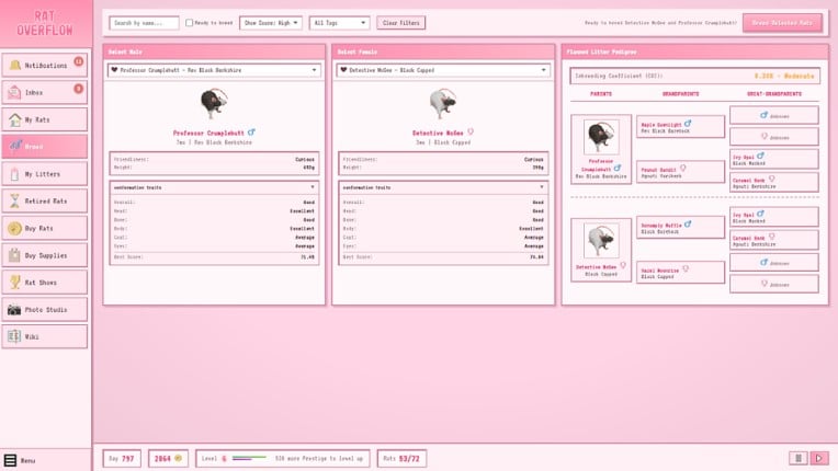 Rat Overflow screenshot