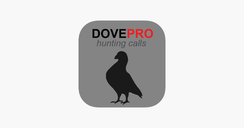 REAL Dove Calls and Dove Sounds for Bird Hunting! - BLUETOOTH COMPATIBLE Image