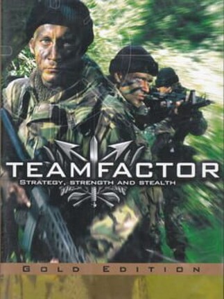 Team Factor Image