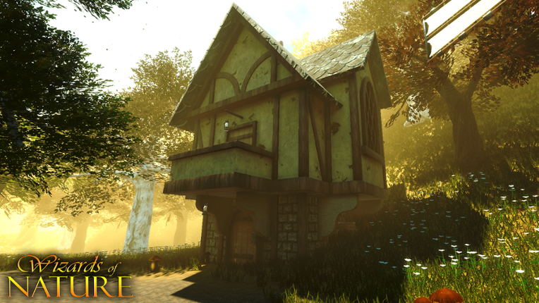 Wizards of Nature screenshot