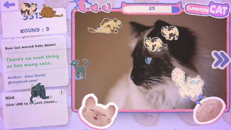 Cat or Potat Image