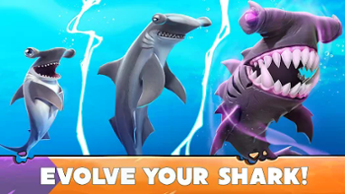 Hungry Shark Evolution Image